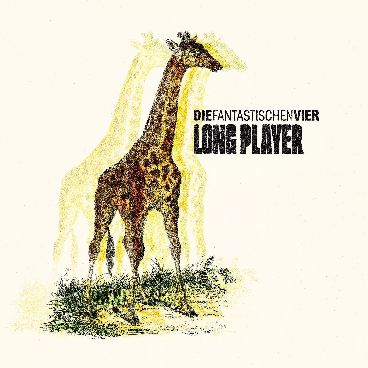 Long Player